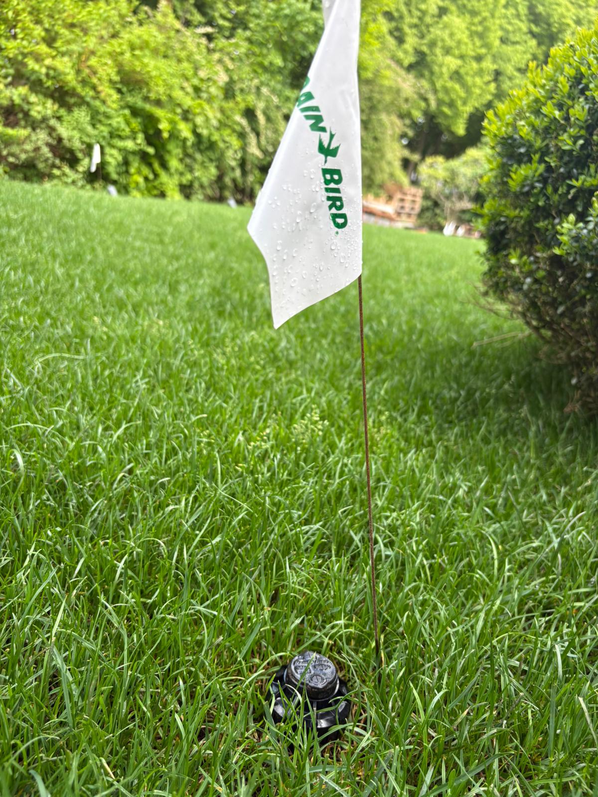 Bewässerungsanlage - Topclean Gartenbau Lübeck