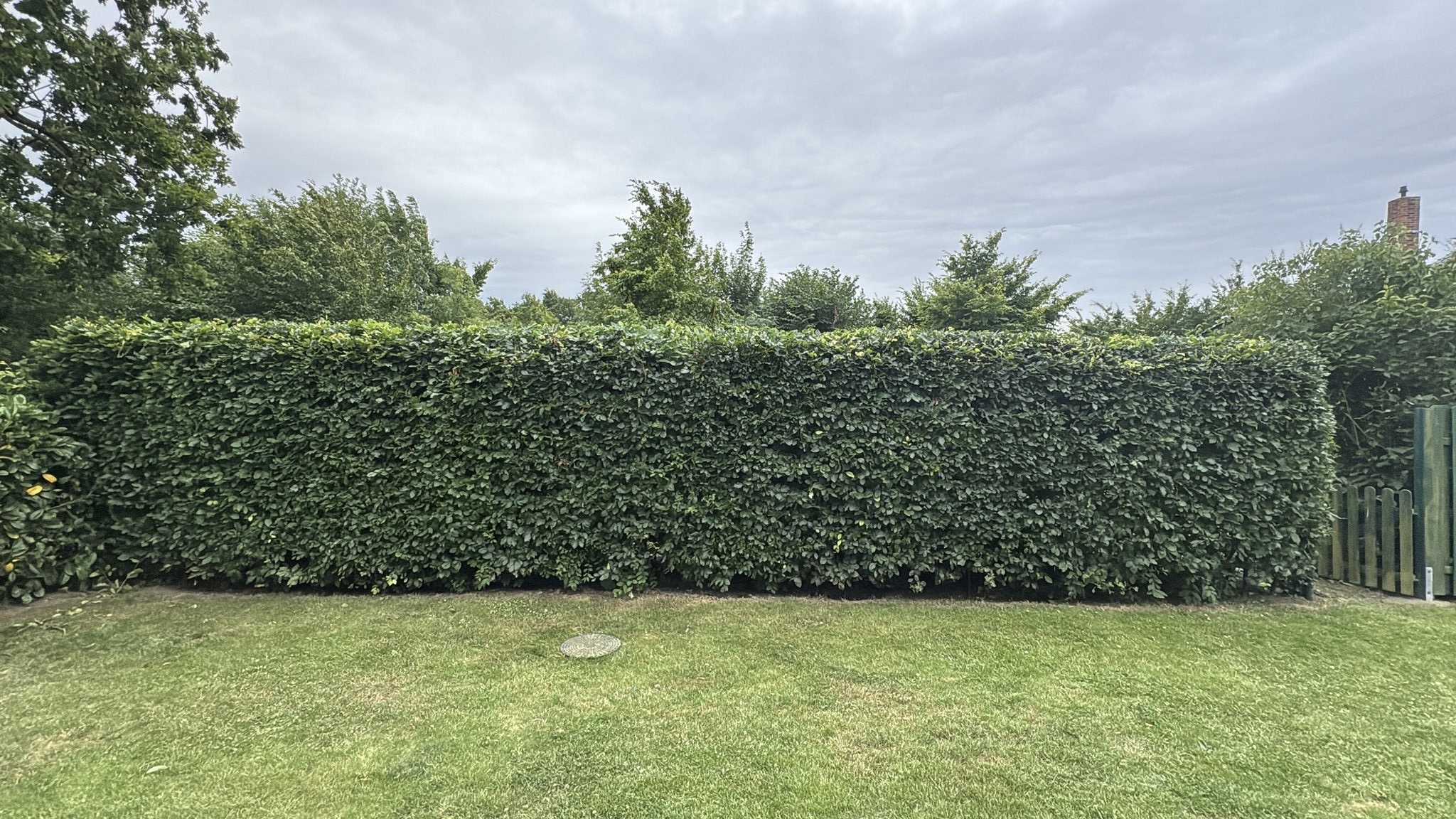 Heckenschnitt & Form Nachher - Topclean Gartenbau Lübeck