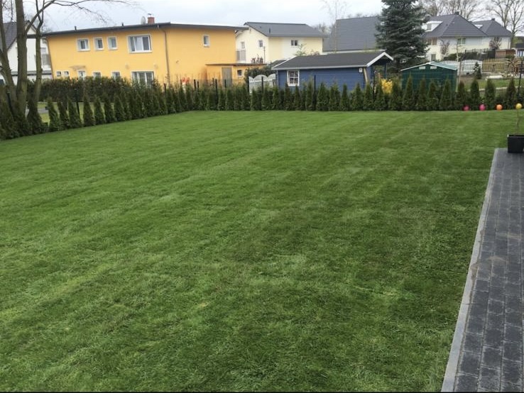 Premium Rollrasen Nachher - Topclean Gartenbau Lübeck