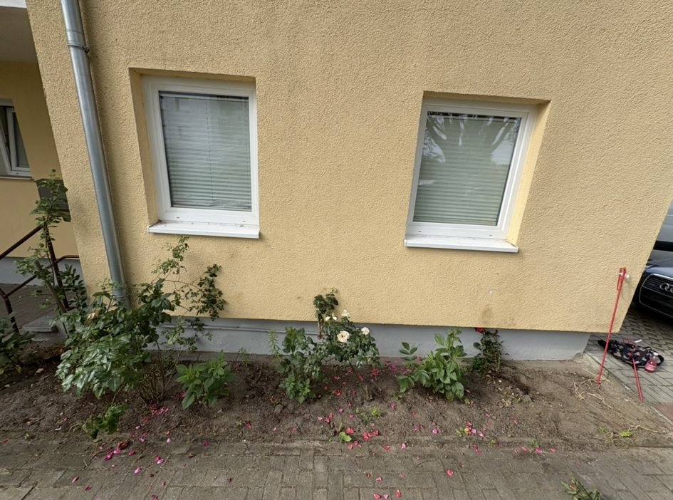 Vorgarten Design Vorher - Topclean Gartenbau Lübeck